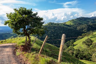 Arka planda mavi gökyüzü ve tepe ile çit ve ağaç Brezilya 'nın iç kısımlarında Mantiqueira sıradağları