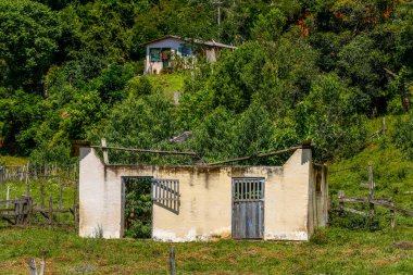 Ağaçlar ve Mera ortasında terk edilmiş çiftlik. Brezilya kırsal
