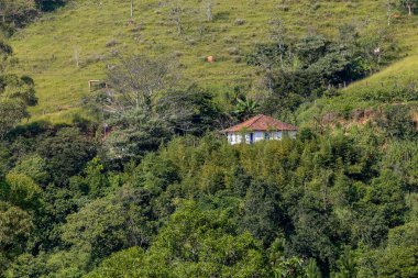 Tepeye kurulmuş bir çiftlik evi ve her yerde ağaçlar ve otlaklar var. Brezilya 'nın kırsalında