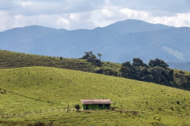 Tepeye kurulmuş bir çiftlik evi ve her yerde ağaçlar ve otlaklar var. Brezilya 'nın kırsalında