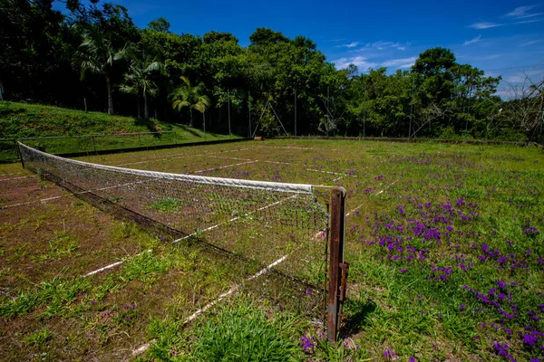 Gammal Övergiven Tennisbana Med Nät Fortfarande Monterat Kontrast Till Brasilien — Stockfoto