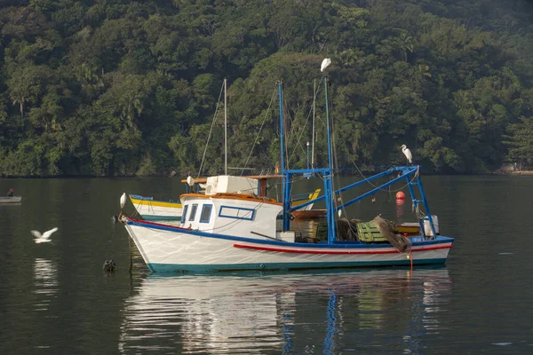 Barco Pesquero Con Garza Blanca Desembocadura Del Río Itanhaem Sao — Foto de Stock