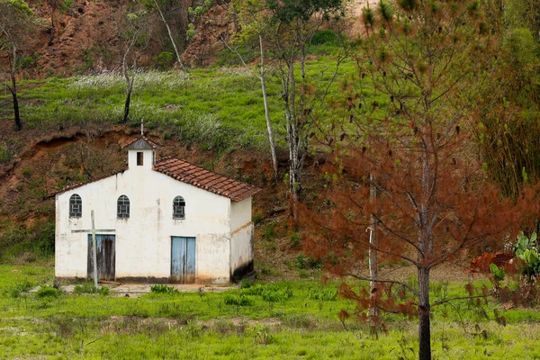 Küçük beyaz çiftlik Şapel çam ağaçları ve Sao Paulo devlet, yeşil çim Brezilya çevrili