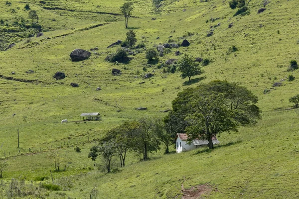 Landsbygdens Landskap Med Gräs Träd Och Litet Hus Kullen Minas — Stockfoto