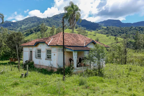 Casa Campo Abandonada Con Una Vaca Sombra Del Porche Interior — Foto de Stock