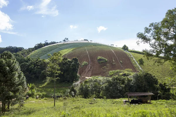 Curieuse Colline Arrondie Très Raide Utilisée Pour Planter Des Légumes — Photo