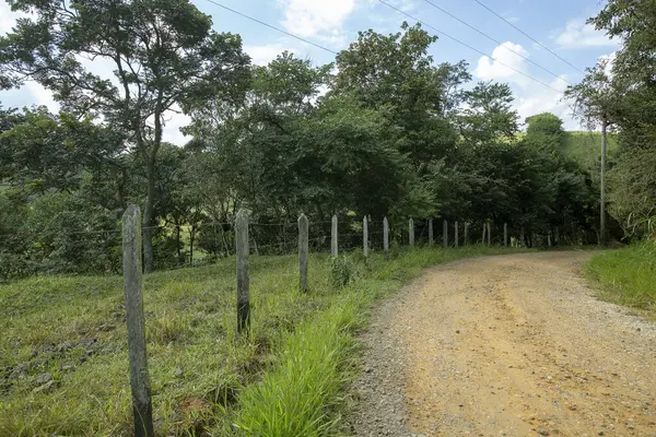 Träd Och Staket Landsbygden Perspektiv Landsbygden Brasilien — Stockfoto