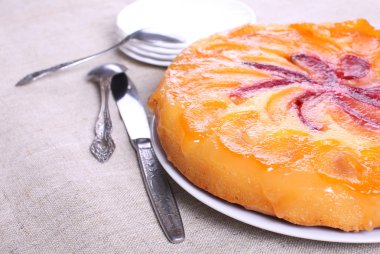 kek kayısı ve Erik