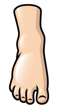 Foot Front View clipart
