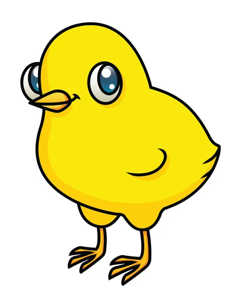 Chick. — Vector de stock