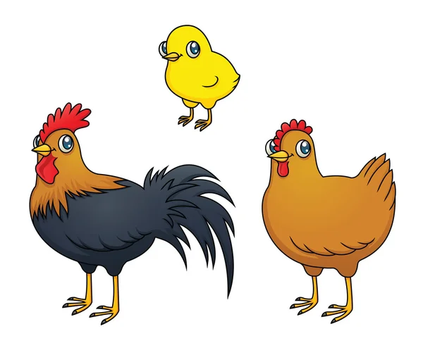 Chicken Family — Stock Vector