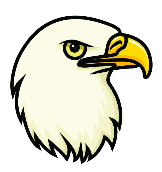 Eagle ansikte — Stock vektor