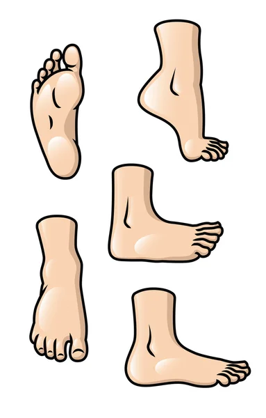 Foot Set — Stock Vector