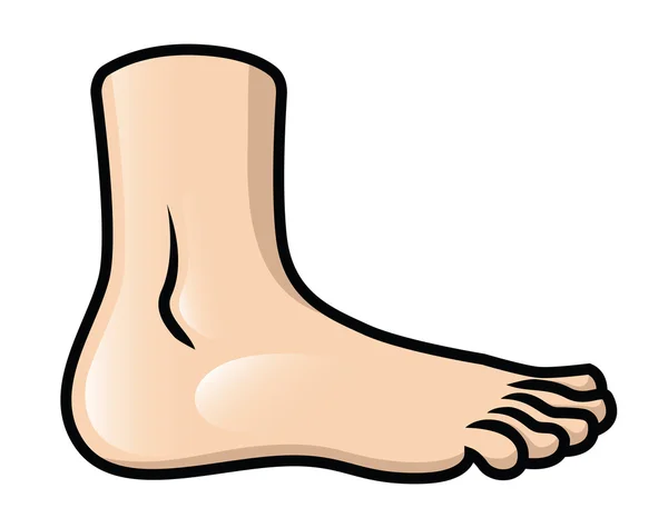 Foot Flat — Stock Vector