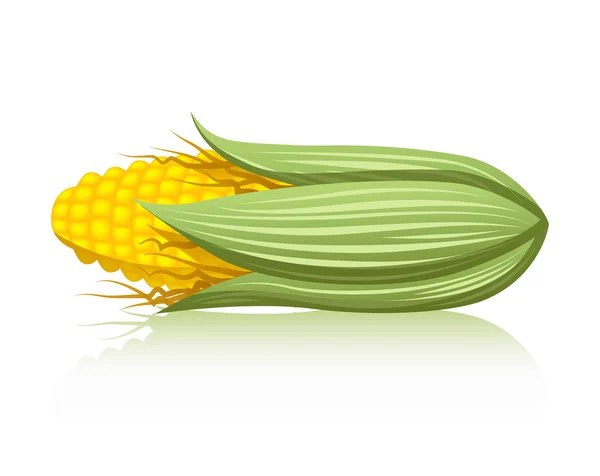 Maïs — Image vectorielle