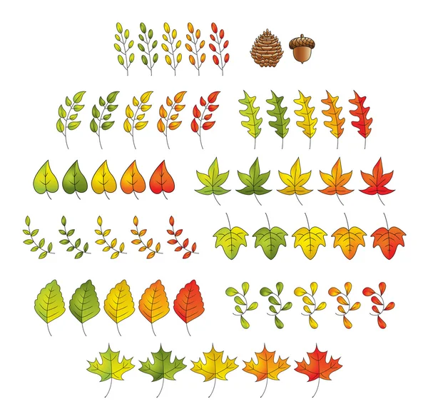 Leaf Set — Stock Vector