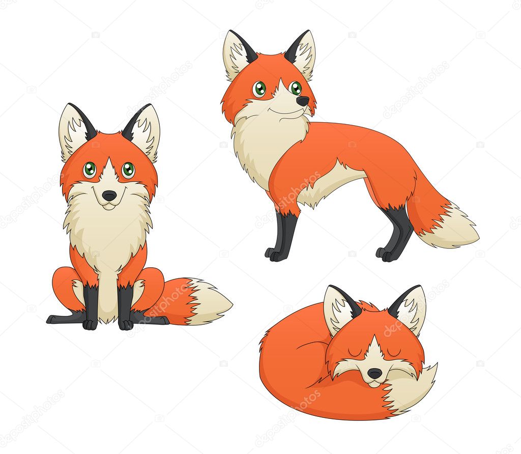 Fox Set