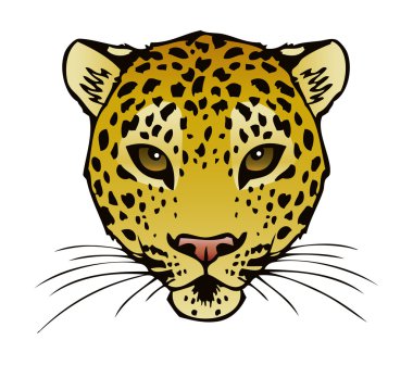 leopar