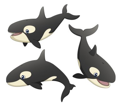 Orca seti
