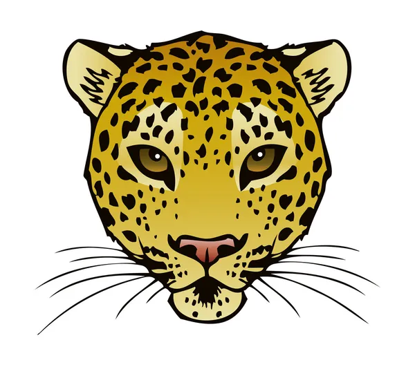 Leopardo — Vetor de Stock