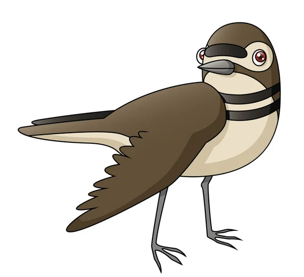 Ala rotta Killdeer — Wektor stockowy