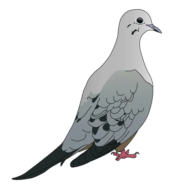 Rouw dove — Stockvector