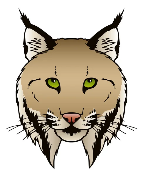 Lynx hoofd — Stockvector