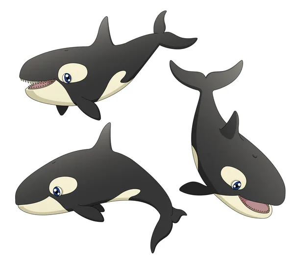 Orca Set — Stock Vector