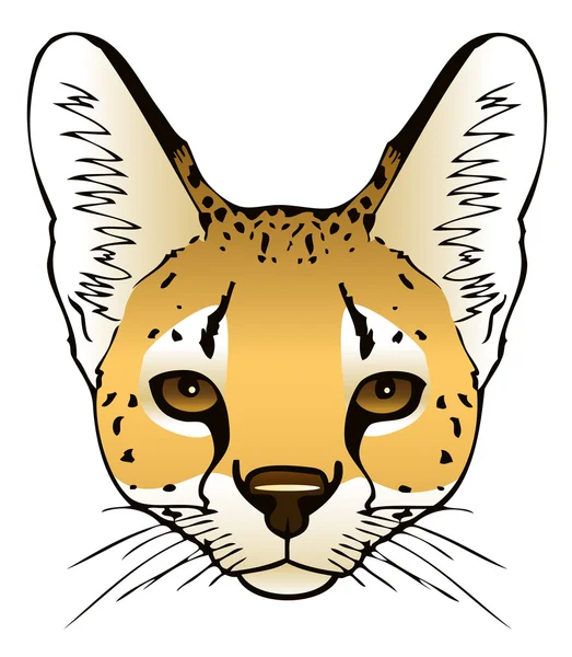 Serval Head — Stock Vector