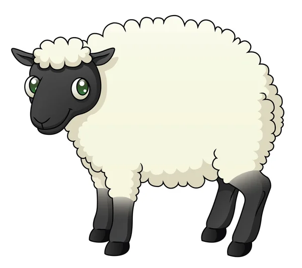 Sheep — Stock Vector