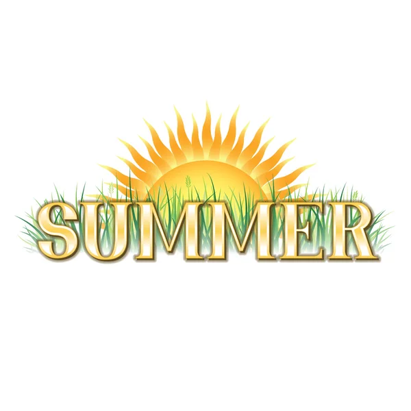 Summer Banner — Stock Vector