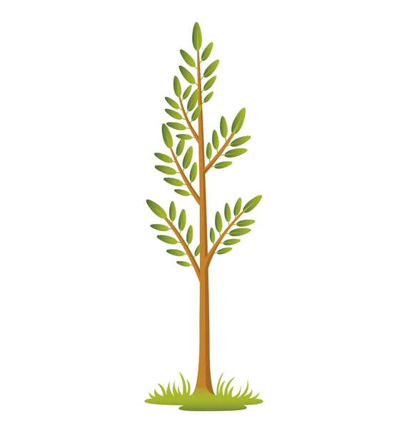 Sapling — Stock Vector