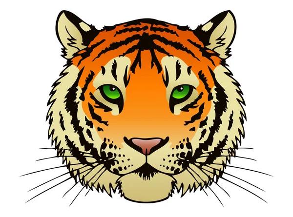 Tiger Face — Stock Vector