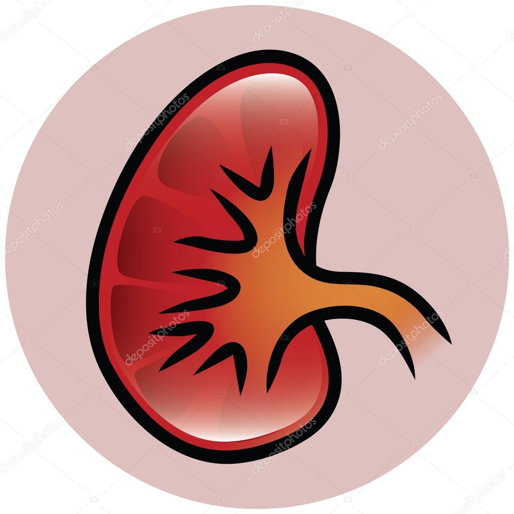Kidney Button