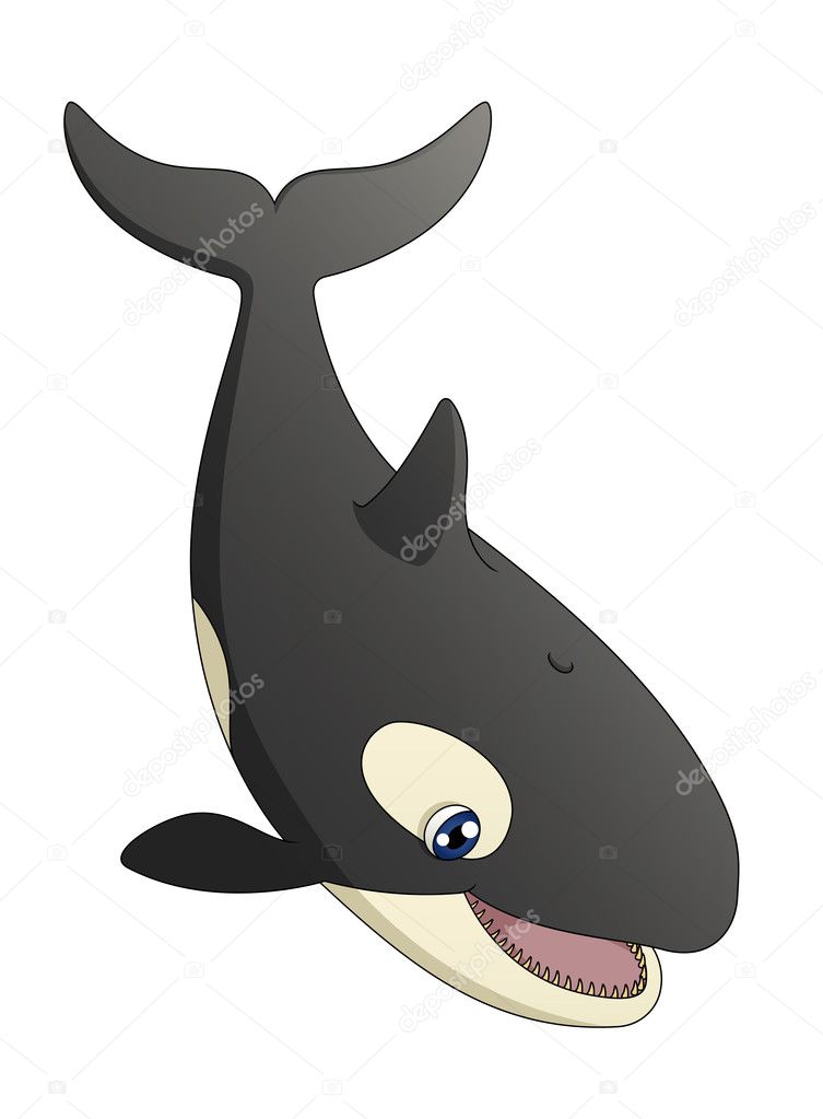 Featured image of post Cute Cartoon Orca Whale It is the best cartoon whale that has ever existed