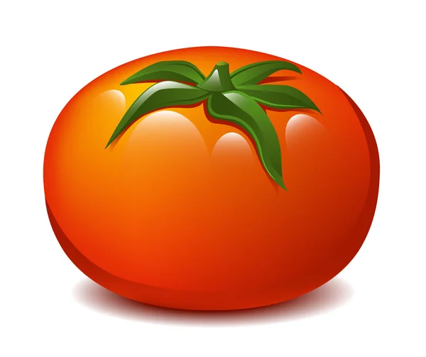 Tomate — Vector de stock