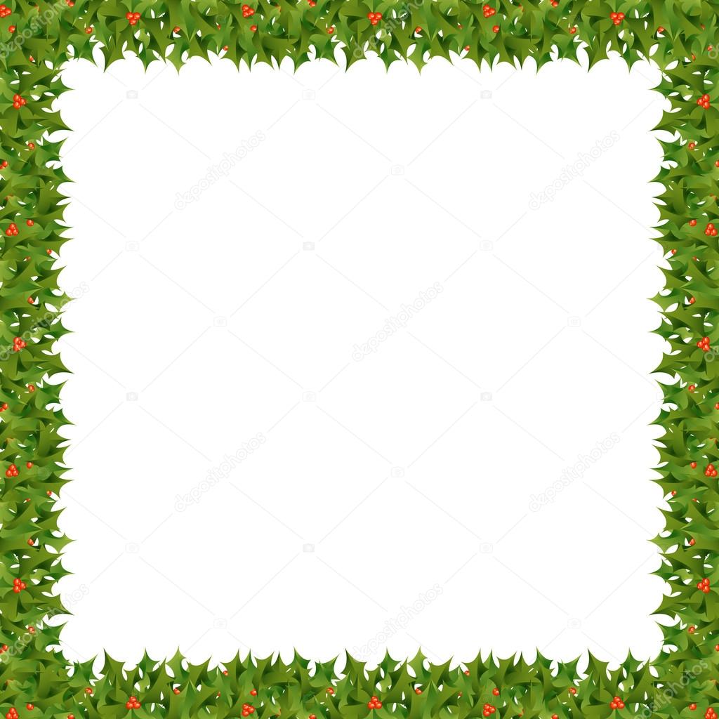 Holly Border