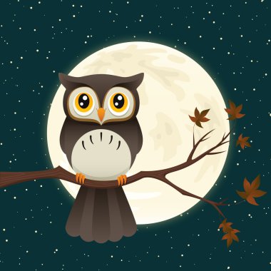 gece kuşu