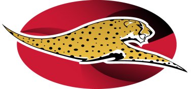 logo çita