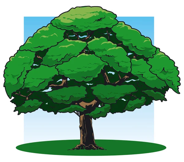 Meşe Ağacı — Stok Vektör