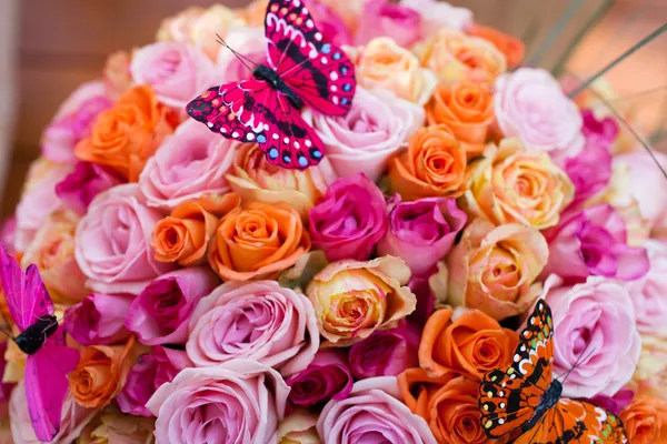 Rose butterfly — Stock Photo, Image