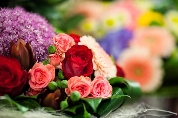 Bouquet of roses — Stock Photo, Image