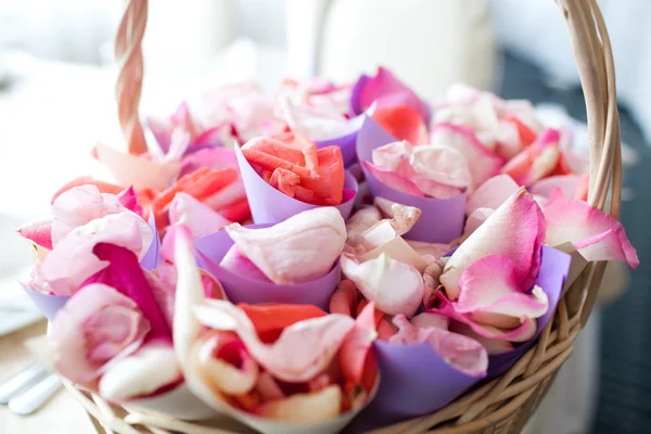 Basket with petals of roses — Stock Photo, Image