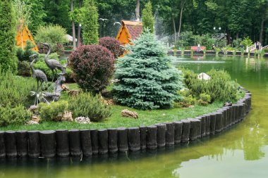 Kharkiv, Ukrayna - 6 Haziran 2021. Central Park 'taki gölde kuğu ve ördekler için küçük bir ada.