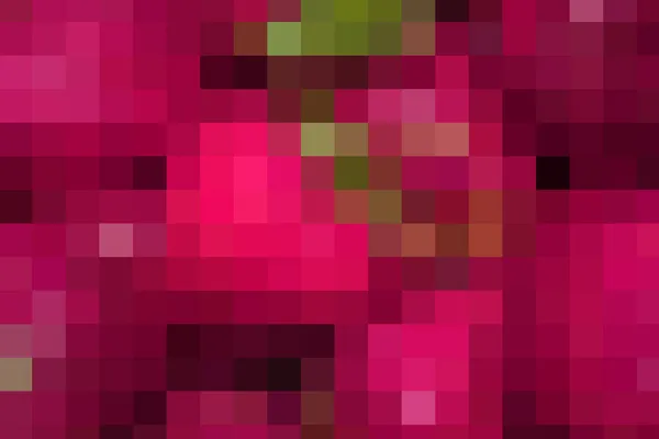 Aleatório Rosa Escuro Roxo Verde Pixel Mosaico — Fotografia de Stock