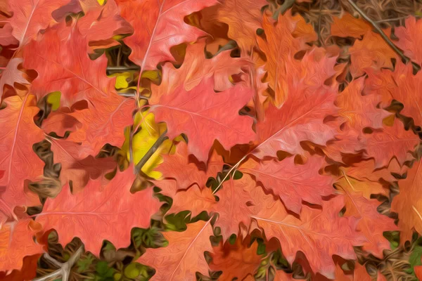 Feuilles Rouges Chêne Automne Peintes — Photo