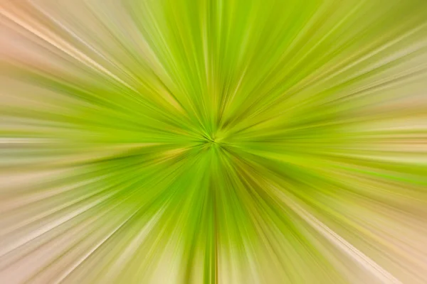 Efeito Zoom Abstrato Verde Laranja — Fotografia de Stock