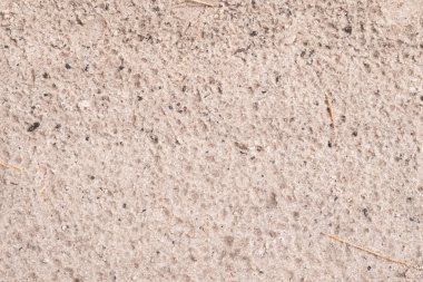 Islak açık pembe kum ve ormanda dallar