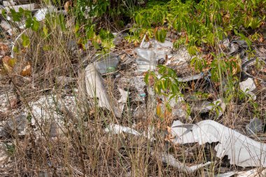 Ormandaki çimenlerin ve bitkilerin arasına atılmış plastik çöp ve şişeler.