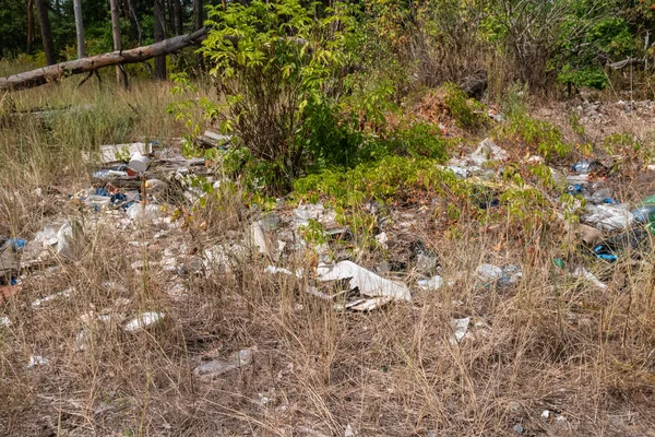 Μόλυνση Στο Δάσος Πολλά Πλαστικά Σκουπίδια Και Μπουκάλια — Φωτογραφία Αρχείου